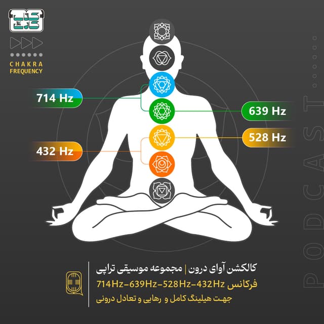 آوای درون موسیقی پاکسازی سازهای خاص ذن